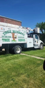 A Tree Monkeys Tree Service truck parked on a lawn featuring professional branding and a Terex lift