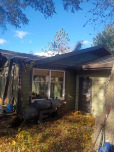 A green house with a dark roof is partially covered in fallen leaves near a large tree trunk