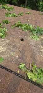 A view of a shingled roof covered in fallen green leaves and small branches, featuring a small hole in the center