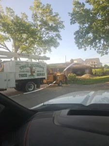 A white Tree Monkeys Tree Service truck with a wood chipper attached is parked on a residential street
