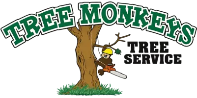 Tree Monkeys Tree Service